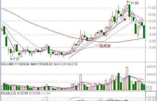 细叶榕科技完成发行合共521.5万股配售股份