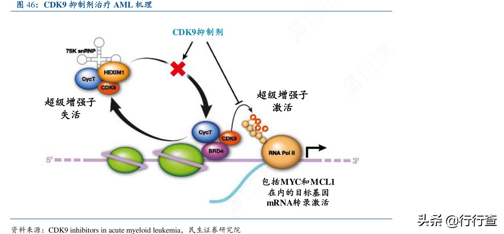 礼来治疗慢性淋巴细胞白血病药物获得欧洲当局支持